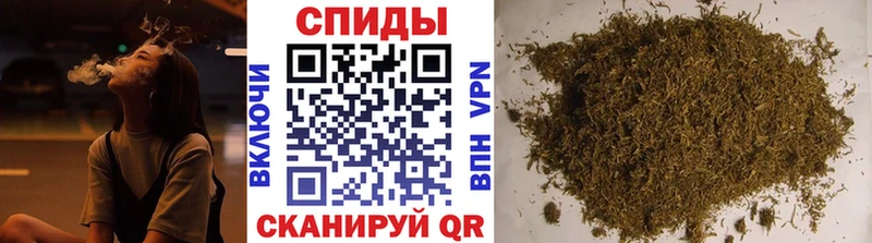 blacksprut маркетплейс  Волгоград  БУТИРАТ бутандиол 