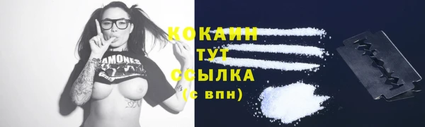 трава Арсеньев
