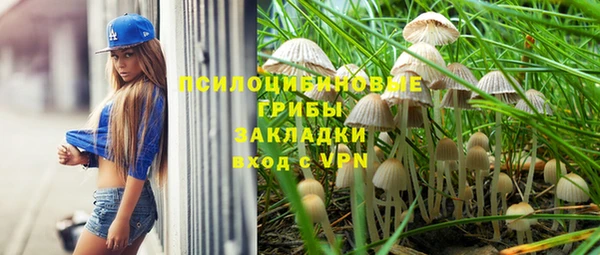 бошки Аркадак