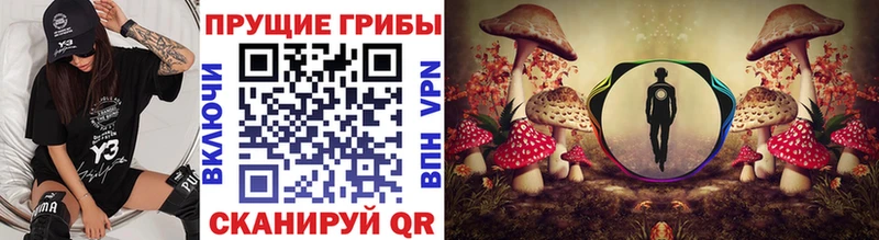 ОМГ ОМГ ссылки  где найти   Волгоград  Псилоцибиновые грибы прущие грибы 